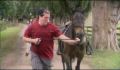 dr dolittle 3-avi_418.jpg